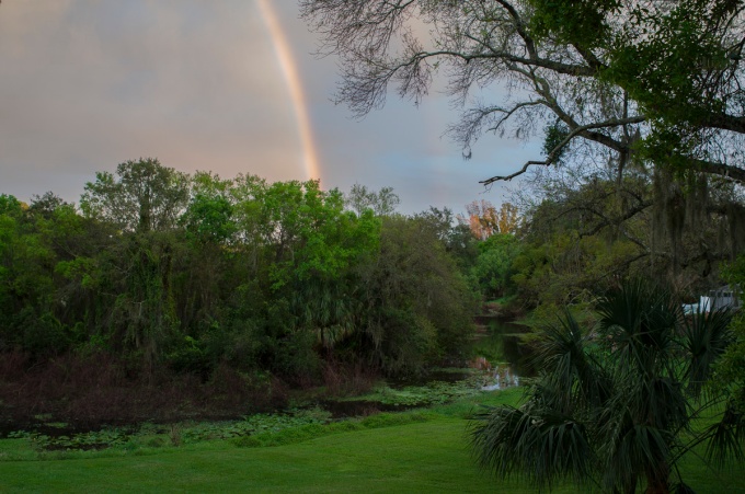 Sarasota rainbows-1